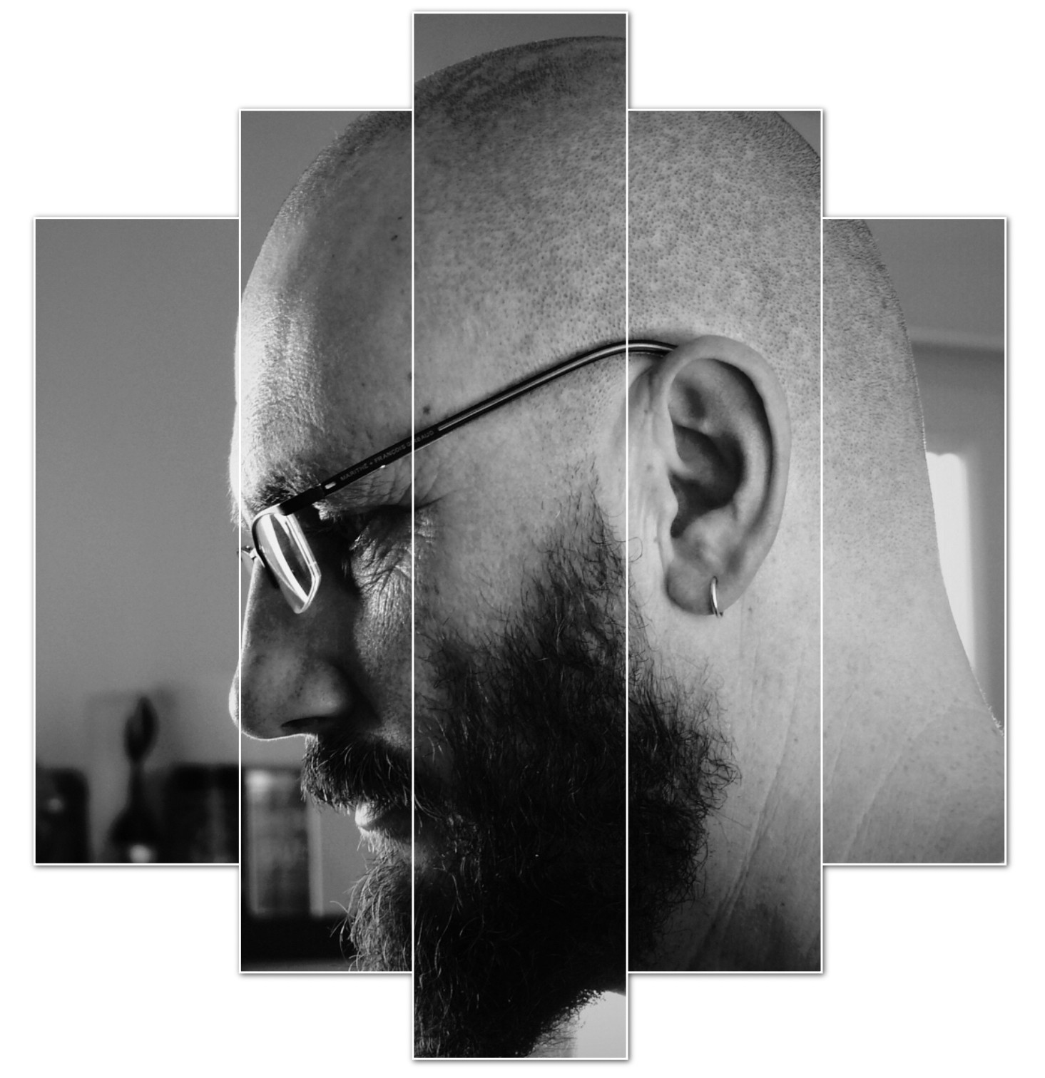 portrait Franck Besnard